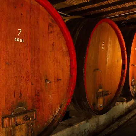 Appartamento Les Cepages *