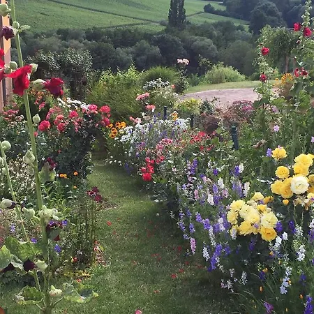 Les Cepages * Itterswiller