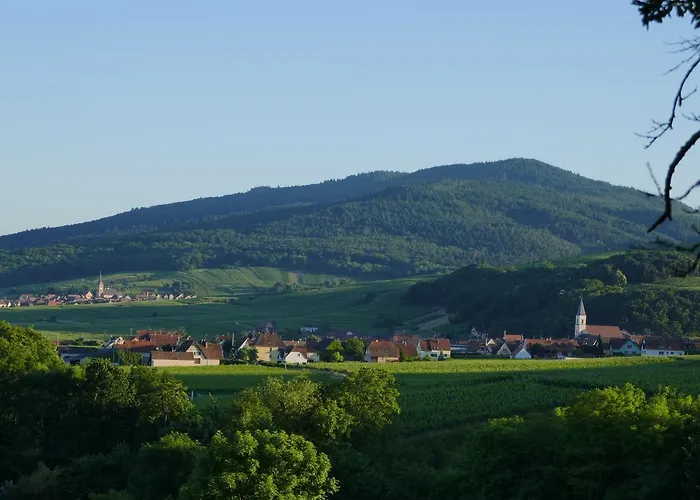 Les Cepages Apartment Itterswiller