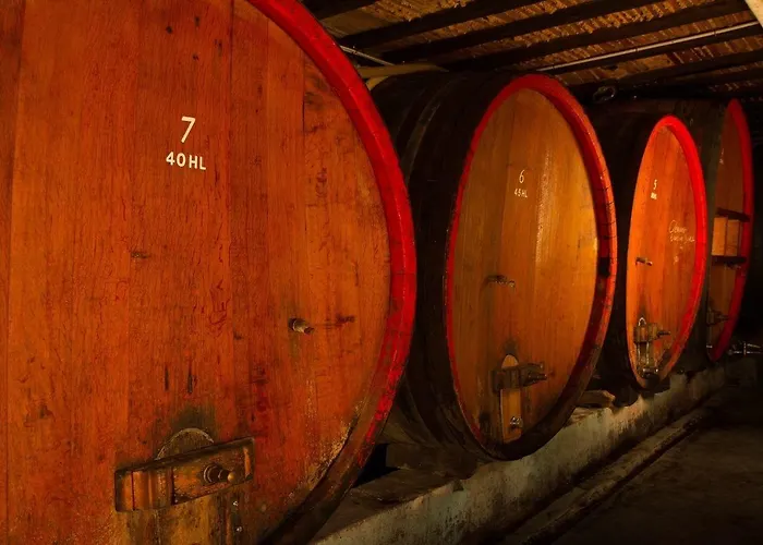 Apartment Les Cepages *